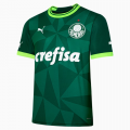 Camisa Palmeiras 2023...