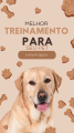 EBook: Cães em Sintonia: Um...