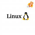 Suporte Técnico Linux