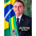 Livro Bolsonaro - O grande...