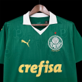 Camiseta Palmeiras 2024/25...
