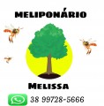 Meliponário Melissa