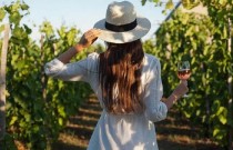 Enoturismo: melhores destinos da América do Sul para os amantes de vinho