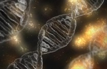 O que é o DNA? Pra que serve, e como ele funciona?