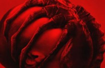 Alien: Romulus - Novo filme da franquia ganha trailer assustador