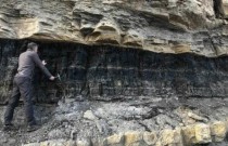 Elementos de terras raras podem estar escondidos dentro de minas de carvão