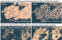 A mineração ilegal de ouro continua prejudicando o ecossistema amazônico