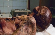 Donzela de Gelo: a história da múmia com as primeiras tatuagens do mundo