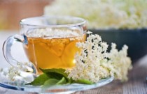 13 benefícios do chá de sabugueiro para a saúde