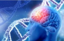 Ciência pode ter encontrado cura para a doença de Alzheimer