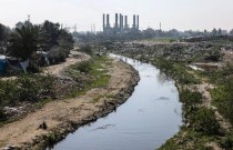 Limpeza da poluição visa criar a primeira reserva natural de Gaza