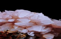 Pedras preciosas: o quartzo diamante de leite