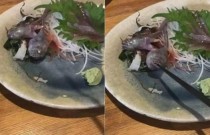 Peixe vivo ataca palito em restaurante japonês
