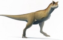 Descoberta nova espécie de dinossauro Abelisaurus sem braços na Argentina
