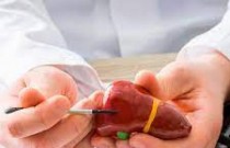Brasil tem até o momento 28 casos suspeitos de hepatite de causa desconhecida