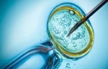 Inseminação artificial x fertilização in vitro - entenda a diferença entre eles