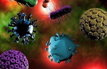 20 fatos curiosos sobre vírus que você provavelmente não sabia ou que deveria saber