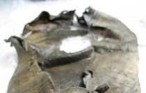 Mudança climática revela artefatos únicos em gelo derretido