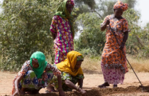 Países africanos têm dificuldades para erguer ‘Muralha Verde’ e conter desertificação