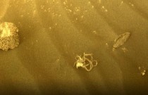 NASA explica o que pode ser o “espaguete” encontrado em Marte pela Perseverance