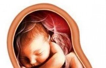 Desenvolvimento fetal: 37 semanas de gestação