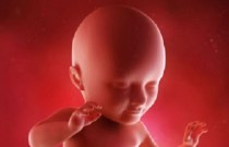 7 coisas que o bebê sente enquanto está dentro do útero