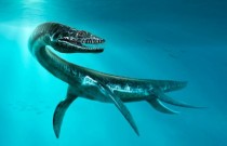 Fósseis de plesiossauros encontrados no Saara
