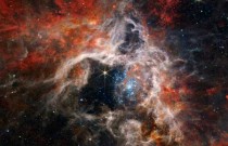 James Webb captura imagens incríveis da Nebulosa da Tarântula