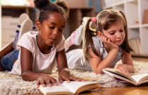 Literatura e formação: o prazer do texto entre as margens do sistema escolar