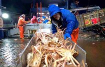 Cancelada temporada de pesca ao caranguejo das neves do Alasca