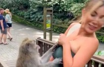 Macaco atrevido tenta arrancar top de ex-miss Peru e dá um tapa quando ela o segura