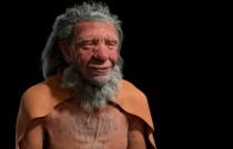 Neandertais: como uma dieta carnívora pode ter levado ao seu desaparecimento