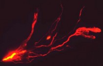 A erupção do vulcão Mauna Loa vista do espaço