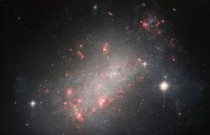 Maior galáxia já observada é descoberta em aglomerado gigantesco