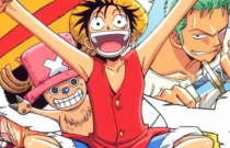 One Piece: guia completo com sagas, arcos e fillers do anime