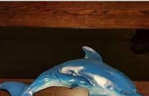 Identificados em golfinhos lesões semelhantes às causadas pelo Alzheimer