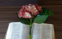 Mulheres na Bíblia