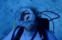 Cientista dos EUA viverá debaixo d’água por 100 dias em experimento recorde