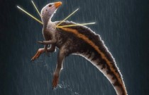 Fóssil de dinossauro levado ilegalmente do Brasil volta ao Ceará