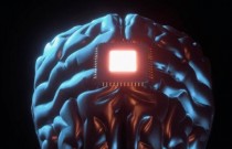 Chip cerebral da Neuralink pode ser testado em humanos este ano