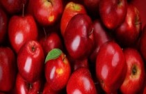 9 frutas típicas do inverno para inserir na alimentação