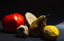 Da prateleira para a lixeira: estudo sobre as causas do desperdício de alimentos