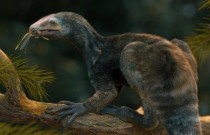 Criatura ‘Edward Mãos de Tesoura’ que viveu há 230 milhões de anos é descoberta no Brasil