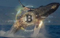 A misteriosa baleia bitcoin: Reflexões sobre Robinhood e o mercado de criptmoedas