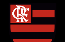Desvendando o Rubro-Negro: 10 Curiosidades surpreendentes sobre o Flamengo