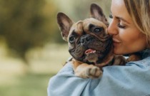 Intuição Canina: Cachorros Sentem Energia Negativa?