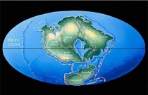 Próxima formação de supercontinente vai acabar com a maioria dos mamíferos do mundo