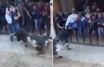Vídeo: na Espanha, touro deixa homem morto e outro ferido a chifradas