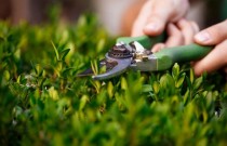 5 sinais de que você precisa trocar o seu equipamento de jardinagem