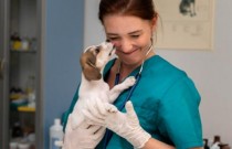 A importância fundamental das visitas constantes ao veterinário para a saúde do seu pet